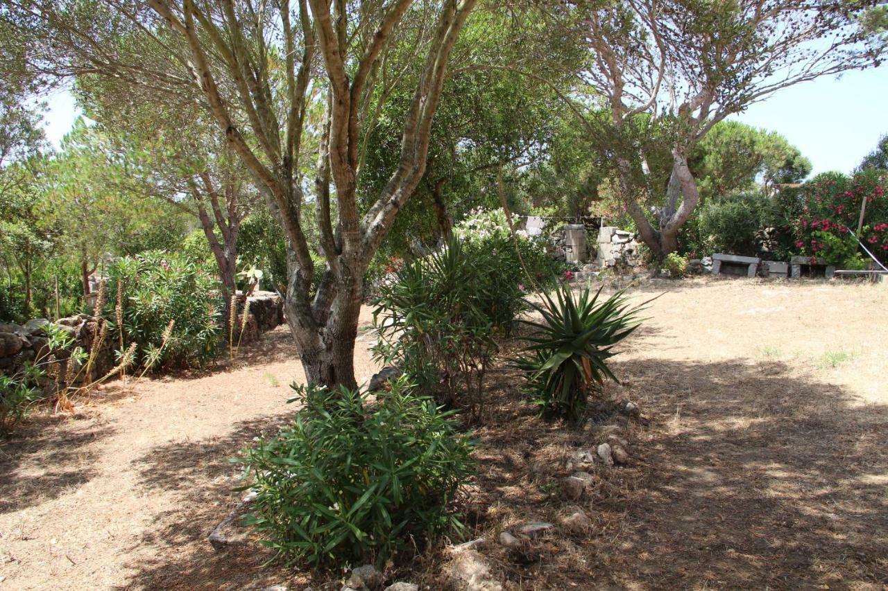 Le 25 Tartarughe Bed & Breakfast Santa Teresa Gallura Eksteriør bilde