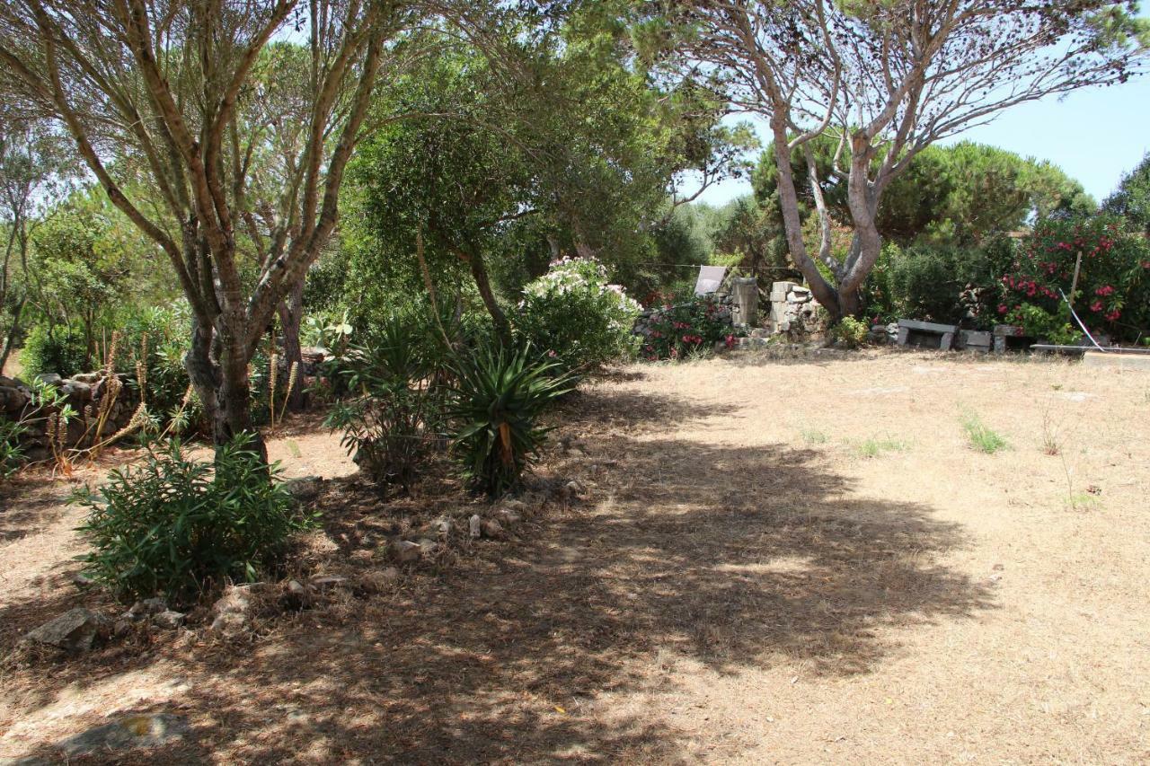 Le 25 Tartarughe Bed & Breakfast Santa Teresa Gallura Eksteriør bilde
