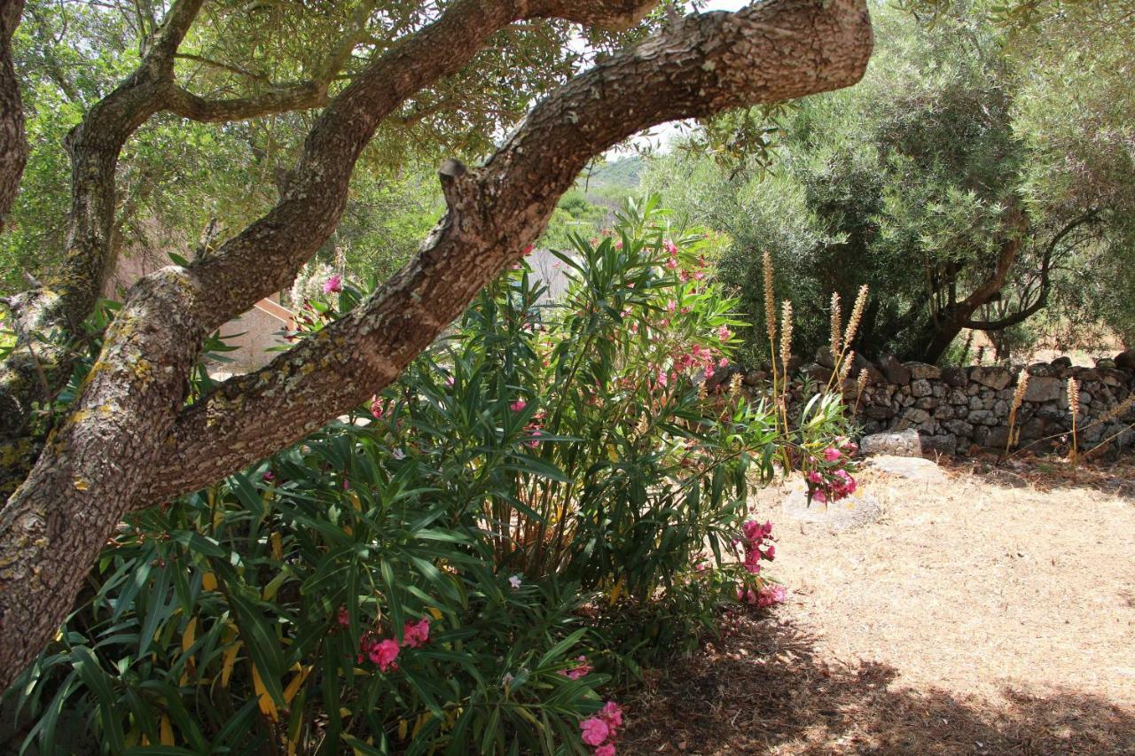 Le 25 Tartarughe Bed & Breakfast Santa Teresa Gallura Eksteriør bilde