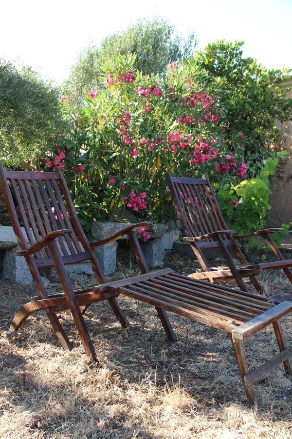 Le 25 Tartarughe Bed & Breakfast Santa Teresa Gallura Eksteriør bilde