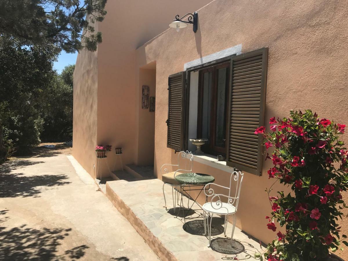 Le 25 Tartarughe Bed & Breakfast Santa Teresa Gallura Eksteriør bilde
